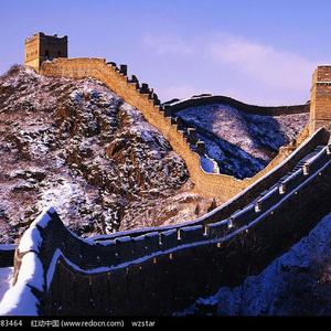 丝袜高跟鞋钛金毛片1区2区
